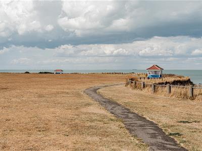 Picture 23